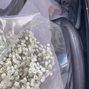 Meet your Posher, Giang